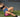 Top Strength Training Accessories Dominating Australian Gyms in 2026