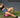 Top Strength Training Accessories Dominating Australian Gyms in 2026