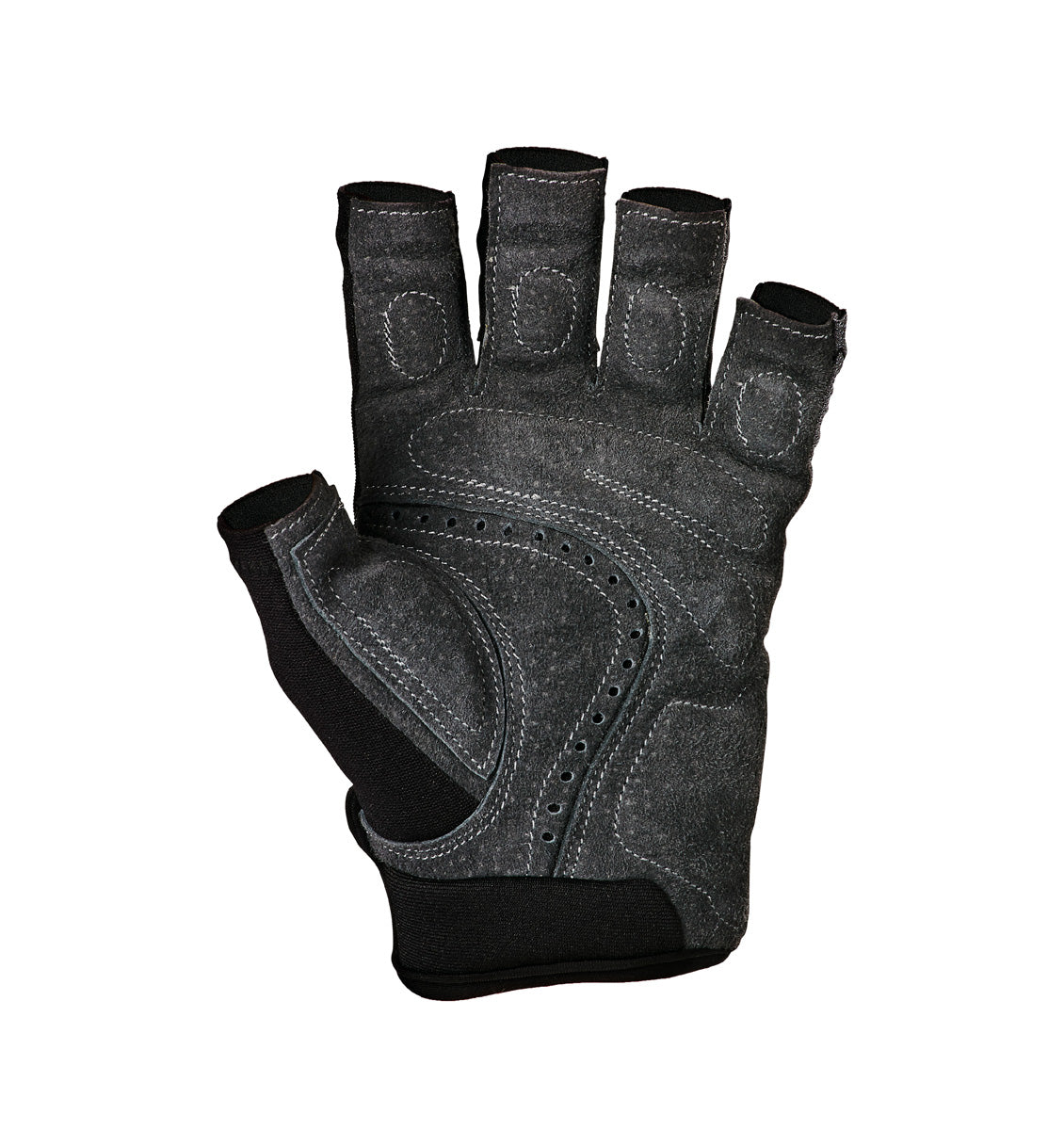 Harbinger Bioflex Elite Glove - 2