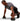 Harbinger Push-Up Grips - Elite - Lifestyle
