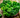 The Top 10 Superfoods for Fitness Enthusiasts: Foods That Boost Energy and Performance