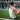 Person sitting on a grassy area with gym equipment in the background massaging his back.