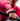 Versa Gripps® CLASSIC Series Lifting Straps - Pink -Lifestyle - 1